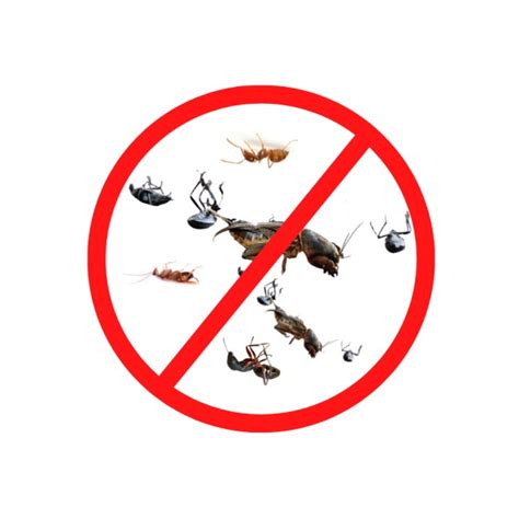 pest control service thunderbolt|General Pest Control Services .